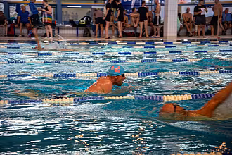 Rainbowswim 2025