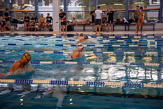 Rainbowswim 2025